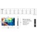 Philips 43" 4K LED Ambilight TV 43PUS8000/12