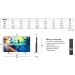 Philips 50" 4K LED Ambilight TV 50PUS8000/12