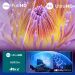 Philips 50" 4K LED Ambilight TV 50PUS8000/12