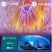 Philips 50" 4K LED Smart TV 50PUS7000/12
