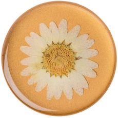 PopSockets PopGrip Premium Pressed Flower White Daisy